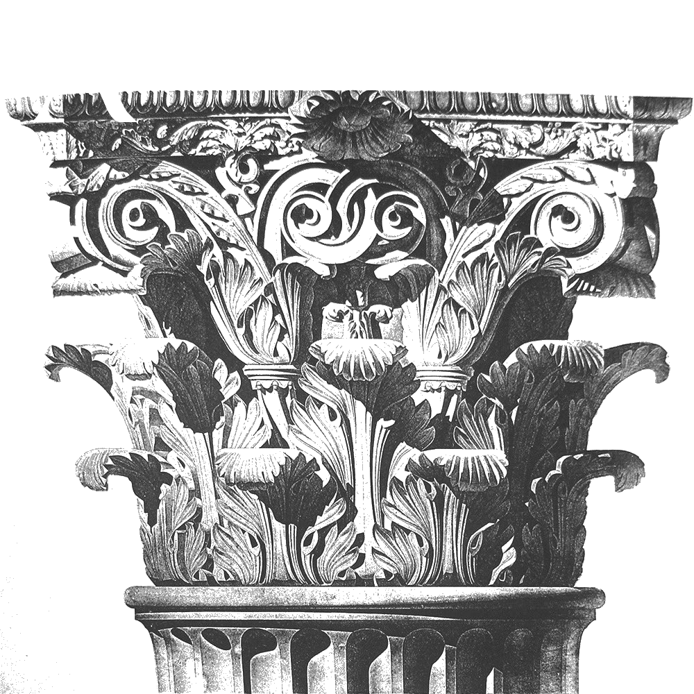 Payton St. Geme Logo